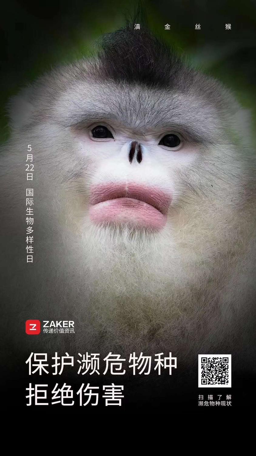 7ad283ea6effa2d081d6470569eb8f7.jpg