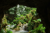 深圳市仙湖植物園--苦苣苔園