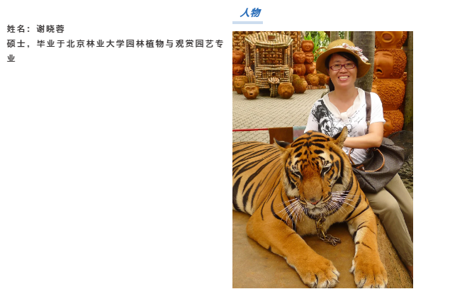 1587104638.png